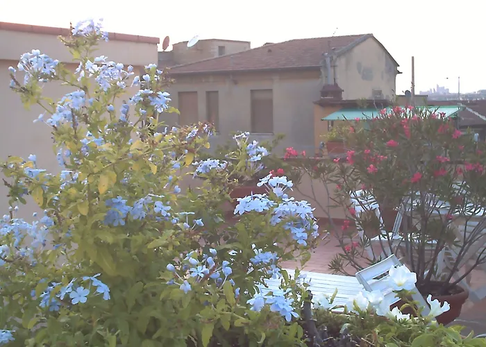 Annabella Roof Terrace